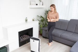 home dehumidifier